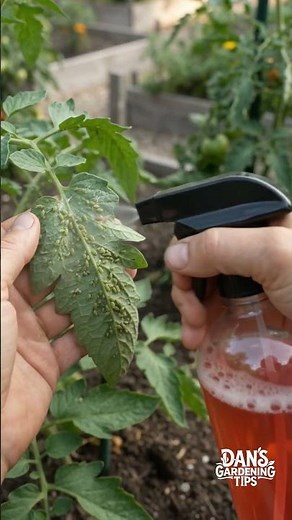 The Spicy Secret to a Bug-Free Garden! 🌶️ (Genius Planting Hack)
