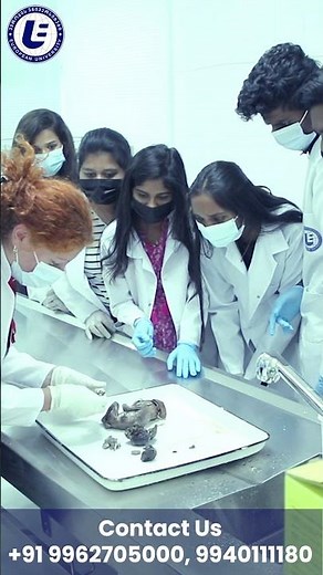 Inside the Cadaver Lab | Real Anatomy Classes for MBBS Students in Georgia 🇬🇪 #studymbbsingeorgia