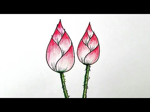 วาดรูป ดอกบัว ดอกไม้บูชาพระ วาดง่ายๆ ระบายสีสวยงาม | How to draw a Lotus