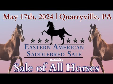 Sale - 2024 Eastern American Saddlebred Sale