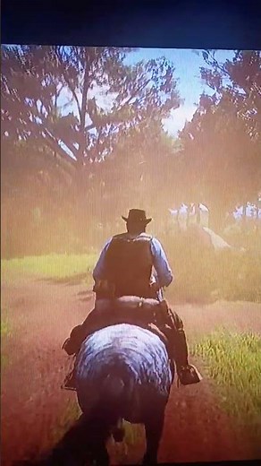 rd2 how to find body solder in red dead redemption 2