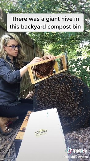 It’s been one year since this went #viral and TikTok changed my life! #thankyou #bees #nature #texas #worklife #fypシ