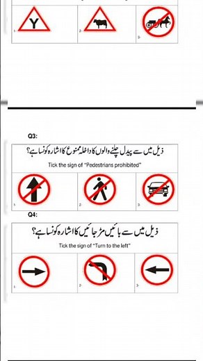 Pass your driving signal test easily | No entry