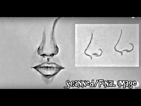 How to draw nose & mouth (for beginners)