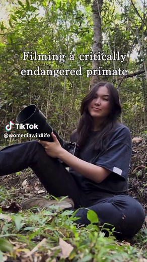Critically Endangered Northern Muriqui: Brazil's Forest Treasure