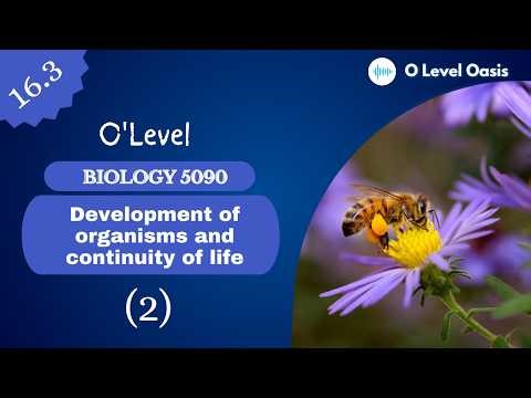 Structure of an Insect Pollinated Flower | Chapter 16 | Unit 16.3 | Sexual Reproduction in Plants