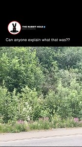 1M views · 11K reactions | Can anyone explain what that was | The Rabbit Hole | Facebook