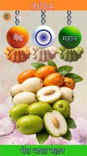 Indian National Anthem -Jana Gana Mana Indian Flag Making India बेर👀🇳🇪 #art#shorts