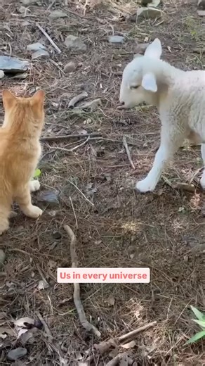 25K views · 152 reactions | FilterCopy on Reels | Facebook