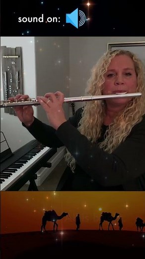 Silent Night Jazz Flute Solo