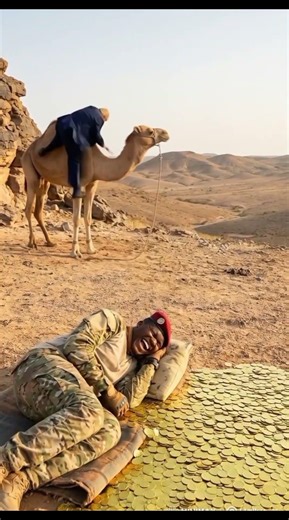 Trump sitting on the camel. Ibrahim tarore sleeping in the desert. #shortsfeed #satire #comedy