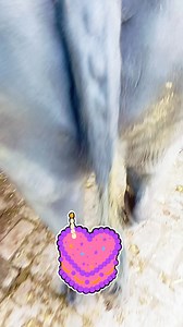 18K views · 57 reactions | #deadpoolandwolverine #foodielife# eating#tricpworkout#leatherjacket#glowing | The Bulls | Facebook