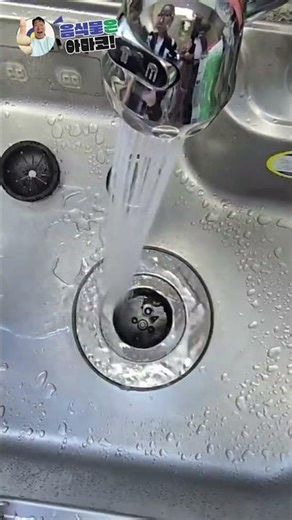 The end of dishwashing! Anaheim Korea Food Waste Disposer | Food waste gone in just 30 seconds! (...