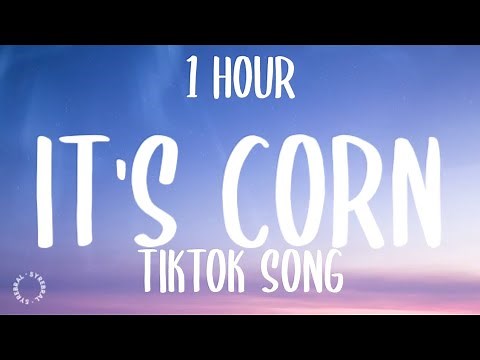 it's corn (TikTok Song) (1HOUR/Lyrics) "it's corn, a big lump of knobs"