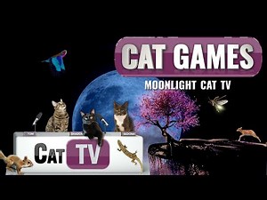 CAT GAMES | 🌙 Moonlight Cat TV | Dark Screen Videos for Cats to Watch to Sleep & Relax 😴