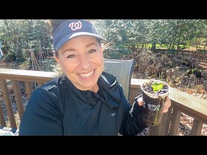 How to Prune a Shrub into Tree Form - Viburnum Dentatum or Southern Arrowwood