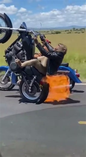 You Won't Believe This Monkey's Stunt Skills