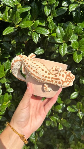 Ansley Bunger | Haven’t made a leopard gecko in a while!! What do we think so far?!! #art #trending #reels #viral #instagram #instagood | Instagram