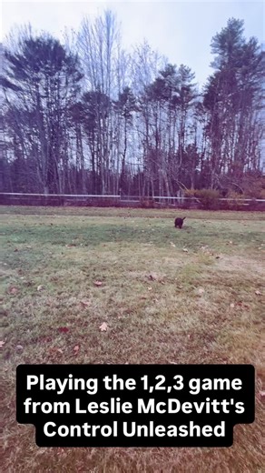 Jenny Ruth Yasi, CPDT-KA, CCUI, FFCP (trainer) on Instagram: "We establish the 123 pattern game on as well leash, to help dogs practice getting past big distractions. It's taught as a reverse behavior chain ( beginning with powering up the "3!") but then we can also use it as a very powerful recall when the dogs are off leash. It helps if all the dogs in a playgroup know the game. If the dogs are not responding, it means your reinforcer is not special enough or the environment is too challenging