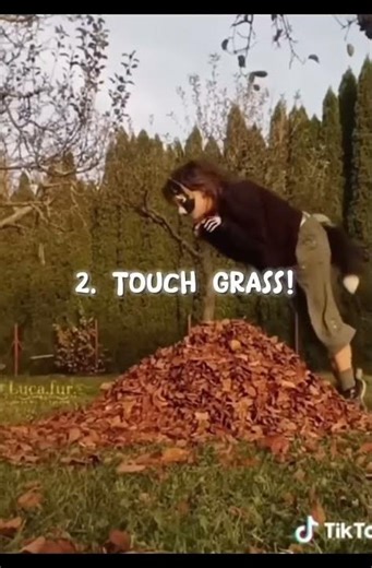 How to be a Therian! (FULL, IN-DEPTH TUTORIAL!)