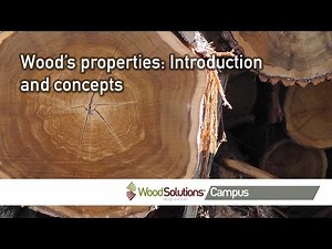 Wood’s properties: Introduction and concepts