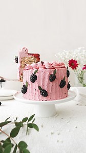 BLACKBERRY CAKE🍇 YAY or NAY?? Who wants a slice?? Recipe: Click the link in my bio or visit thelittleblogofvegan.com 💜 . Vegan, Easy, Delicious! The BEST fresh fruity Vegan Blackberry Cake with blackberry swirl sponges, homemade blackberry compote & fresh blackberry Swiss meringue buttercream! Super quick, super easy and ABSOLUTELY DELICIOUS! 😍💗 Perfect for Valentines Spring!🌸 What you’ll need: 🍇Blackberries 🍇Caster sugar 🍇Cornflour 🍇Lemons 🍇Dairy-free milk 🍇Apple cider vinegar 🍇Self
