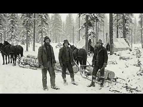 How 1900s loggers Survived The Harshest Winters To Move America’s Timber