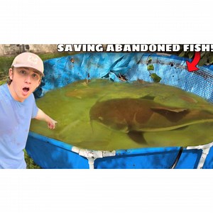 303K views · 7.4K reactions | In today's video, I go back to the...