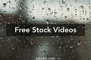Window View Video Videos, Download The BEST Free 4k Stock Video Footage & Window View Video HD Video Clips