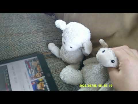 Lamby and shambys funny and dumb adventures. Episode7.