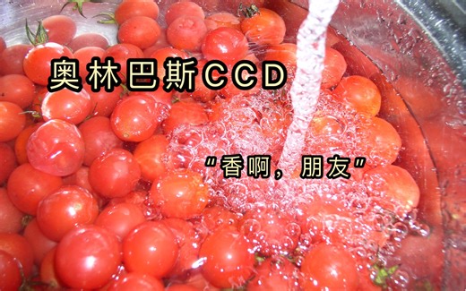奥林巴斯CCD相机使用评测