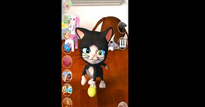 Download & Play Talking Cat & Dog on PC & Mac (Emulator)