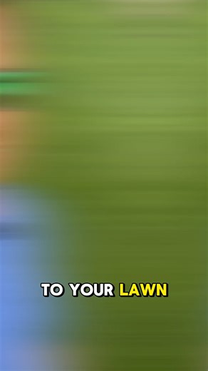 323K views · 1.9K reactions | Unlock the secret to a greener lawn! Your timing is as crucial as what you feed it. | Scotts Lawn Care | Facebook