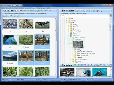Fotos sortieren - FotoSortierer-XL - Free Download unter: www.mediakg.de