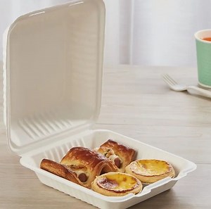 [Hot Item] Bagasse Fiber Biodegradable Containers with Lids for Food Trucks 8" X 8"