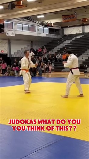 Insights from Judokas on Training and Discipline