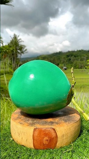 Amazing This Coconut! Why Can be Like This? #shorts #coconut #highlights