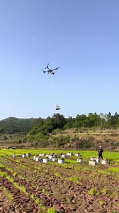 795 reactions · 98 shares | Watch how drones speed up spring planting in China! Drones are now transporting seedlings, infusing traditional #agriculture with high-tech efficiency. #ChinaTech | Xi's Moments | Facebook