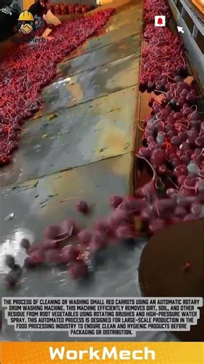 Automatic Cherry Sorting Machine: Fast and Efficient Harvesting Process! #workmech #machine