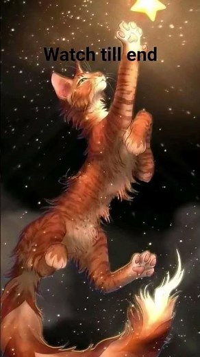 spottedleaf sees Firestar...//#Firestar//#Spottedleaf//#Firealonewillsaveourclan #warriorcats