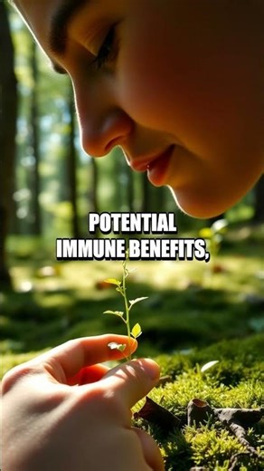 Bee Pollen Boost for Nerve Health and Energy