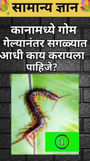 📔कानामध्ये गोम गेल्यानंतर सगळ्यात आधी काय करायला🤔