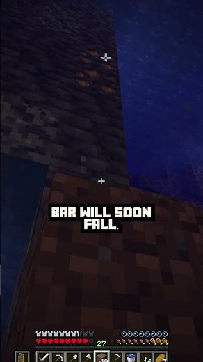 🍗Minecraft Hunger Bar🎮