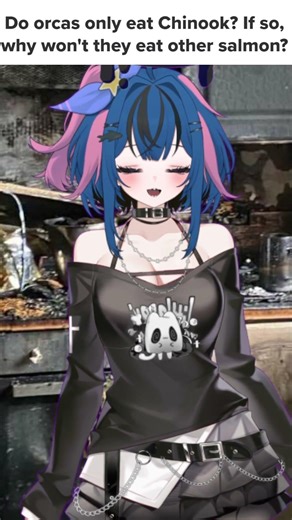 Get the Orca out of the Kitchen #asmr #vtuber #envtuber #orca #cooking #anime