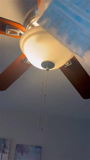 Ceiling Fans Get Forgotten But Not By Me 💪🏽🐝✨ Bizzy Bee 🐝💨💨💨 | Bizzy Bee Cleaning & Etc Llc