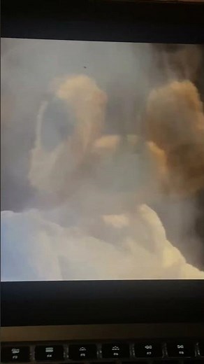 Casper kat goes into the machine