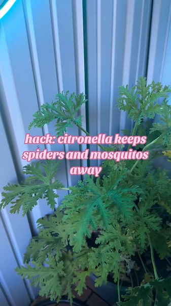 Inflatable Hot Tub Care Guide: Maintenance Tips & Accessories