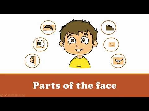 Free PowerPoint Presentation | ESL / EFL Vocabulary Learning | PPT Activity | Body Parts (Face)