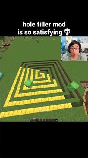 Minecraft Hole Filler Mod Moment