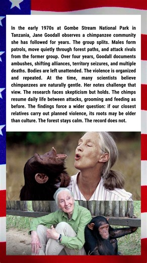 The Chimp War That Changed Science